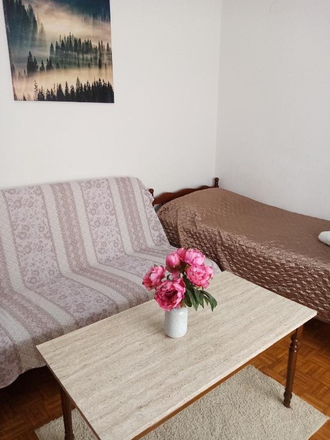 ביוגראד נה מורו Apartmani Nikola מראה חיצוני תמונה