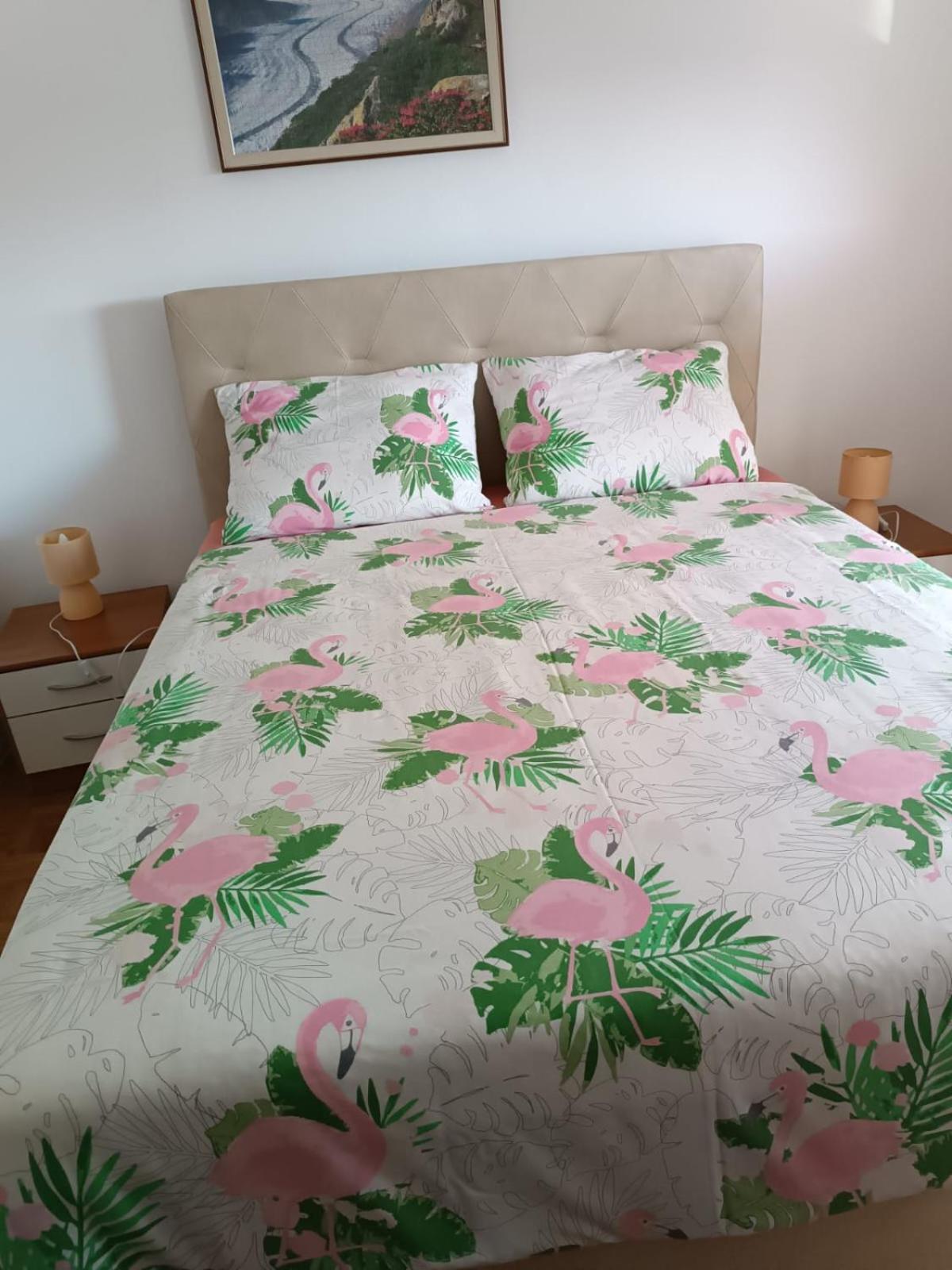 ביוגראד נה מורו Apartmani Nikola מראה חיצוני תמונה